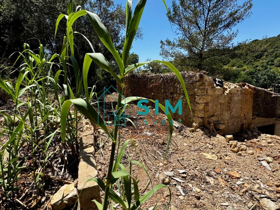Moradia T3 para Venda em São Brás de Alportel Foto 15