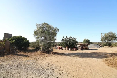 Terreno para Venda em Torrão