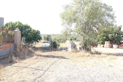 Terreno para Venda em Torrão