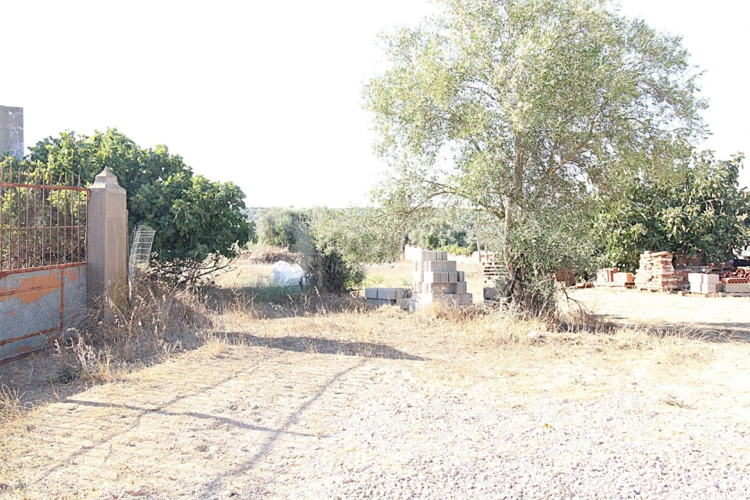 Terreno para Venda em Torrão Foto 5