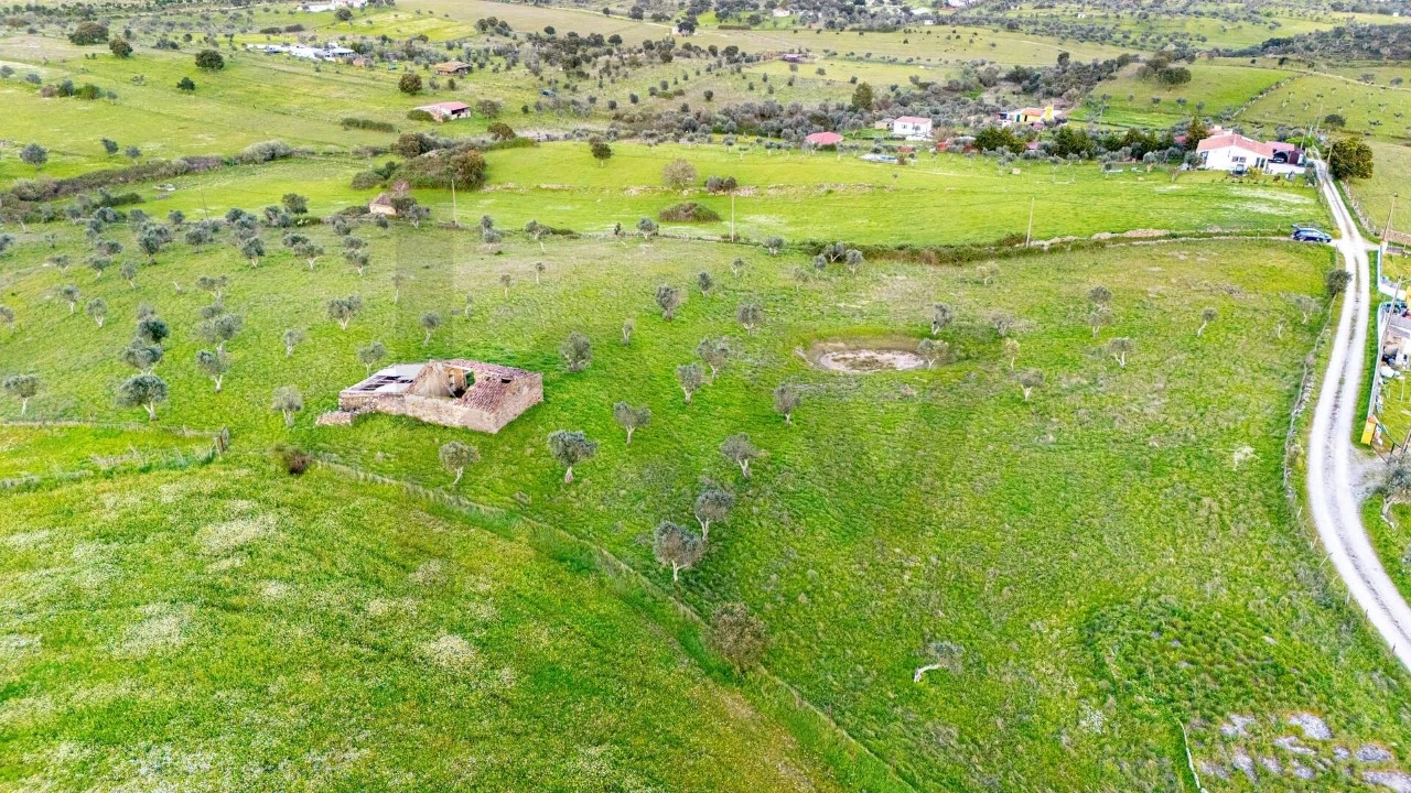 Terreno para Venda em Espírito Santo, Nossa Senhora da Graça e São Simão Foto 20