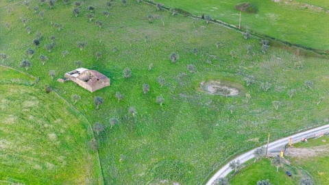 Terreno para Venda em Espírito Santo, Nossa Senhora da Graça e São Simão