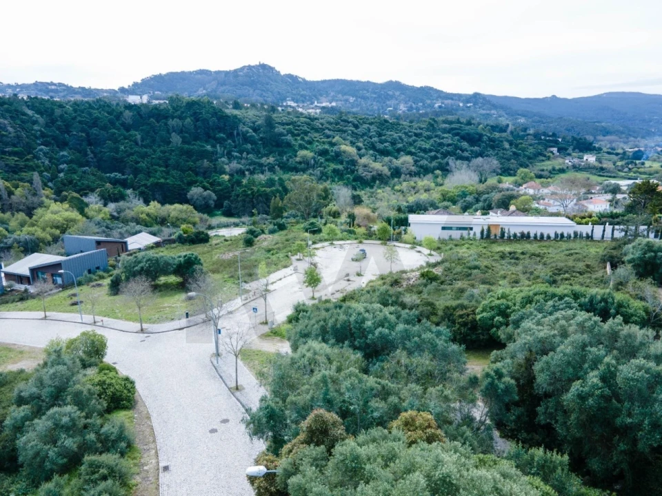 Terreno para Venda em Santa Maria e São Miguel, São Martinho, São Pedro Penaferrim Foto 2