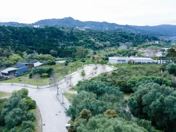 Terreno para Venda em Santa Maria e São Miguel, São Martinho, São Pedro Penaferrim