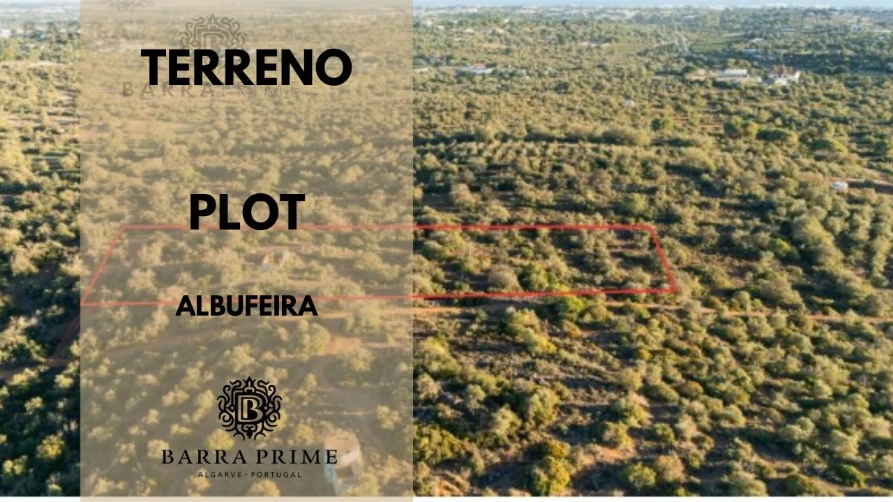 Terreno para Venda em Ferreiras Foto 1