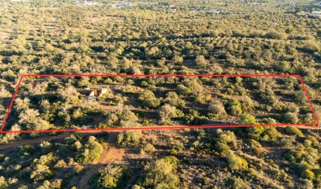 Terreno para Venda em Ferreiras