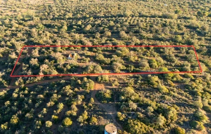 Terreno para Venda em Ferreiras