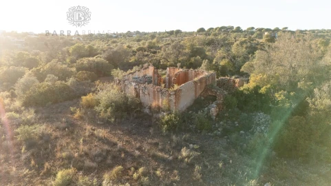 Terreno para Venda em Ferreiras