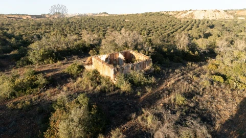 Terreno para Venda em Ferreiras