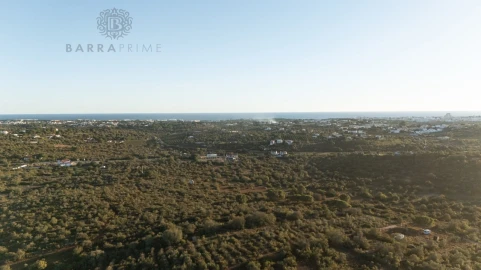 Terreno para Venda em Ferreiras