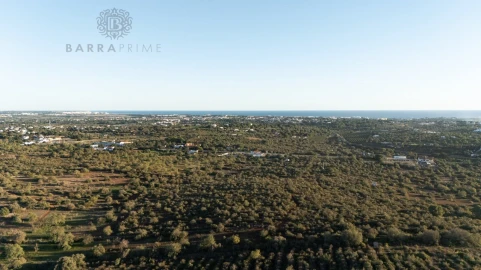 Terreno para Venda em Ferreiras