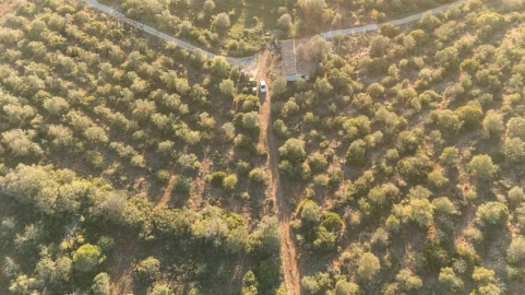 Terreno para Venda em Ferreiras