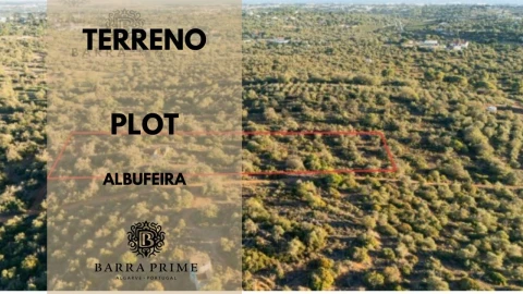 Terreno para Venda em Ferreiras