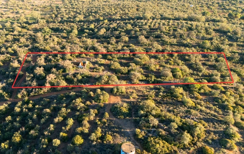 Terreno para Venda em Ferreiras Foto 3