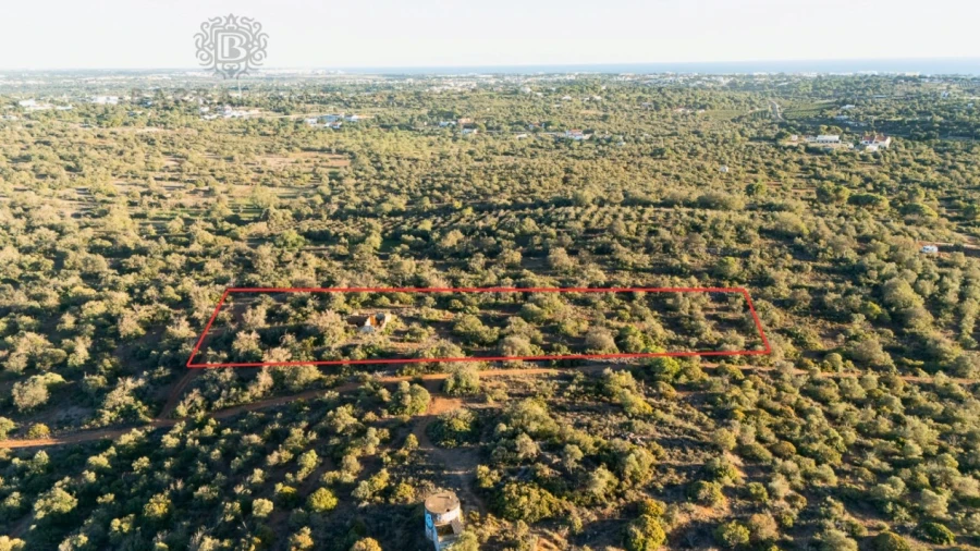 Terreno para Venda em Ferreiras
