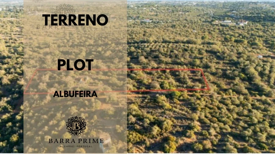 Terreno para Venda em Ferreiras
