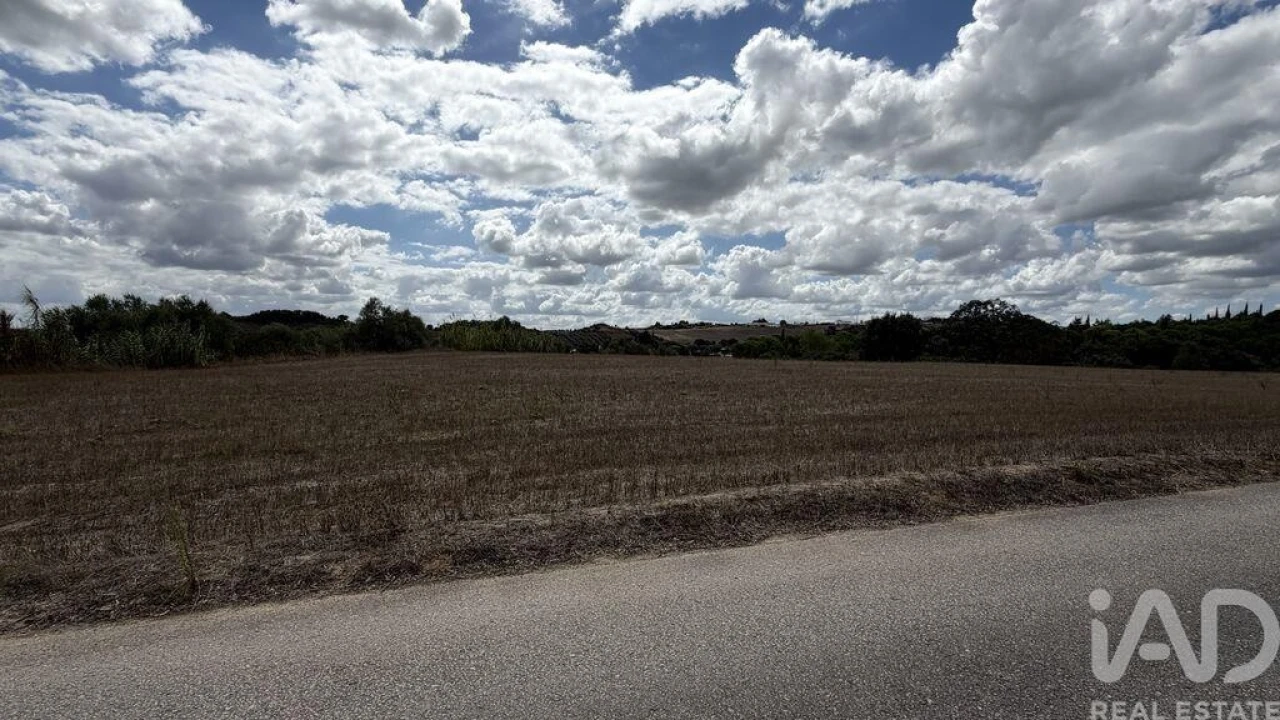 Terreno para Venda em Marvila, Ribeira Santarém, São Salvador, São Nicolau Foto 12