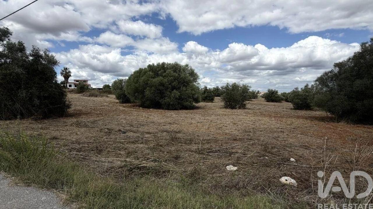 Terreno para Venda em Marvila, Ribeira Santarém, São Salvador, São Nicolau Foto 8