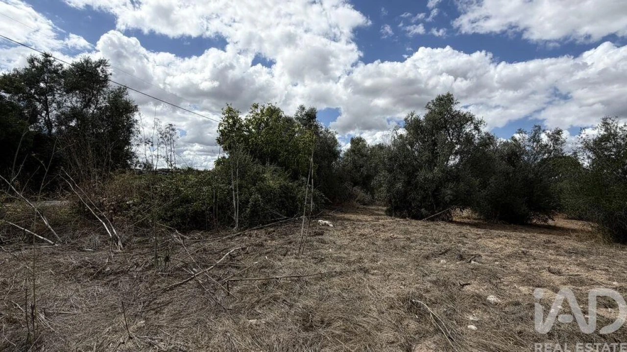 Terreno para Venda em Marvila, Ribeira Santarém, São Salvador, São Nicolau Foto 3