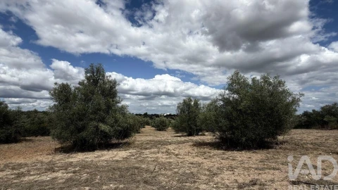 Terreno para Venda em Marvila, Ribeira Santarém, São Salvador, São Nicolau