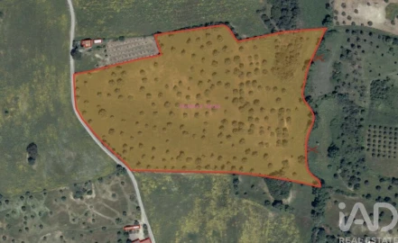 Terreno para Venda em Marvila, Ribeira Santarém, São Salvador, São Nicolau