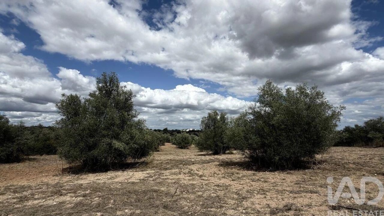 Terreno para Venda em Marvila, Ribeira Santarém, São Salvador, São Nicolau Foto 5