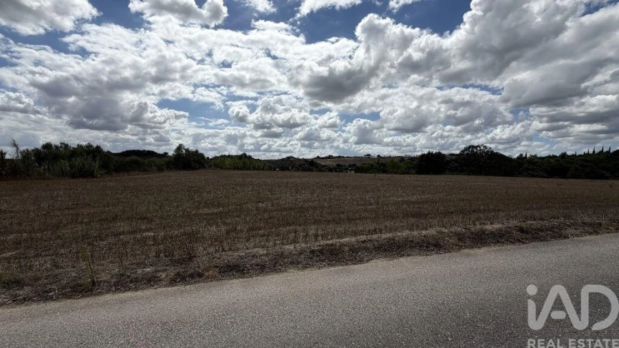 Terreno para Venda em Marvila, Ribeira Santarém, São Salvador, São Nicolau Foto 12