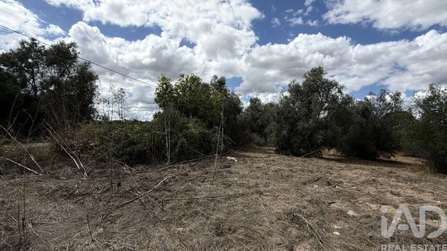 Terreno para Venda em Marvila, Ribeira Santarém, São Salvador, São Nicolau Foto 3