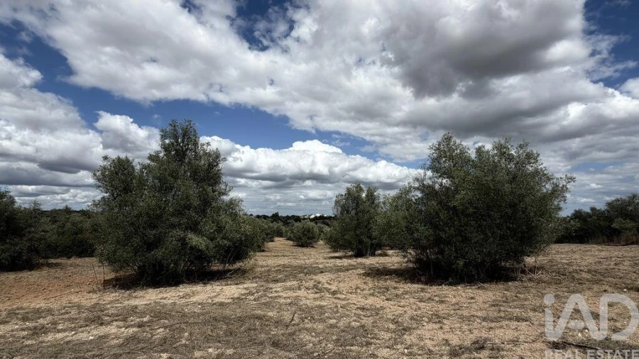 Terreno para Venda em Marvila, Ribeira Santarém, São Salvador, São Nicolau Foto 5