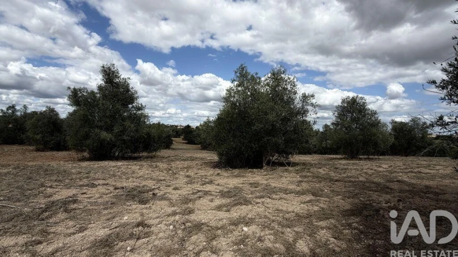 Terreno para Venda em Marvila, Ribeira Santarém, São Salvador, São Nicolau Foto 2