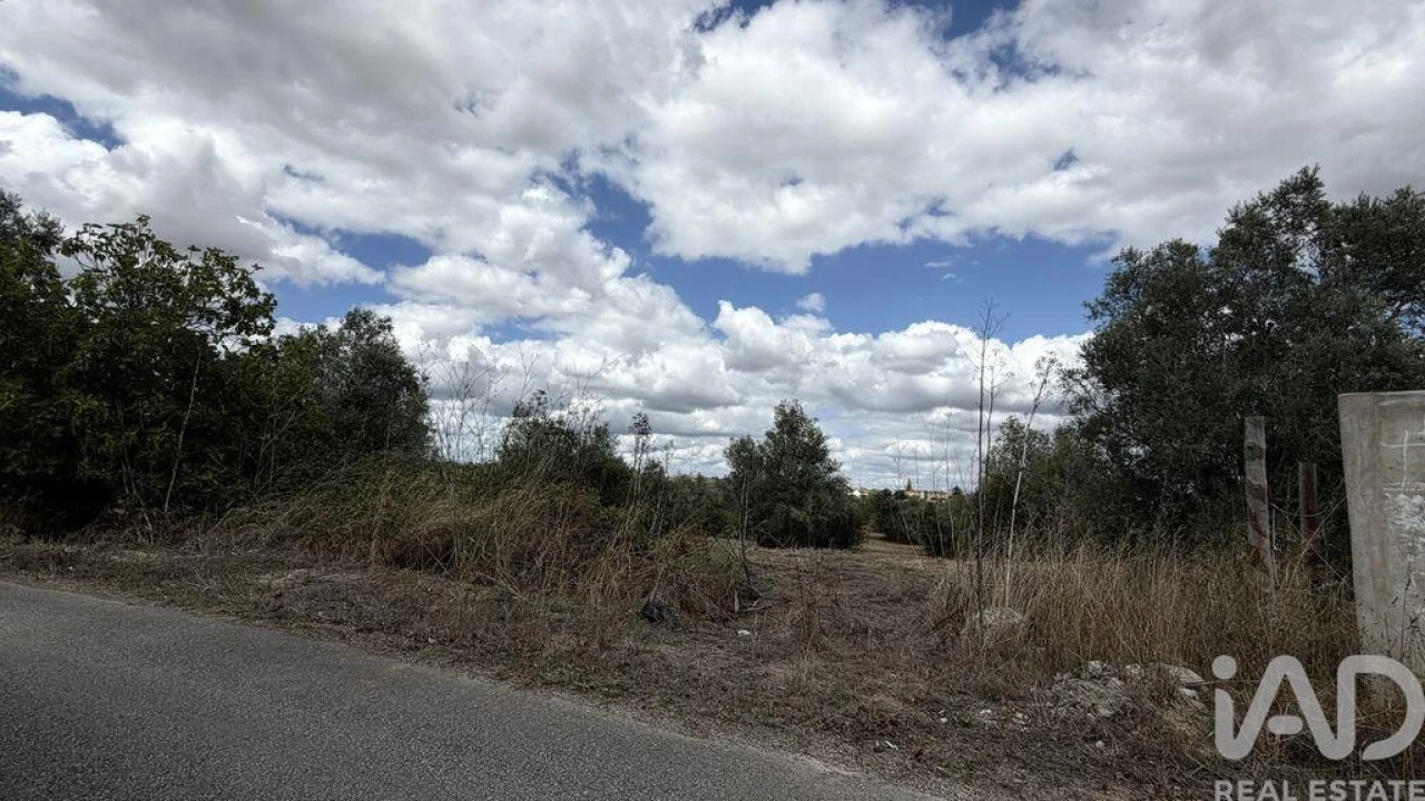 Terreno para Venda em Marvila, Ribeira Santarém, São Salvador, São Nicolau Foto 4