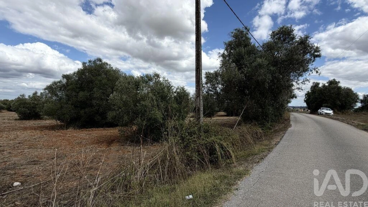 Terreno para Venda em Marvila, Ribeira Santarém, São Salvador, São Nicolau Foto 11
