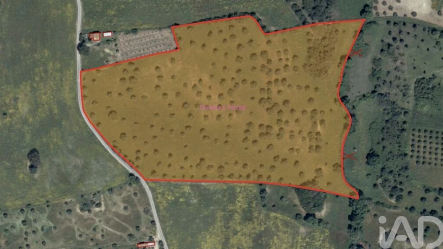 Terreno para Venda em Marvila, Ribeira Santarém, São Salvador, São Nicolau