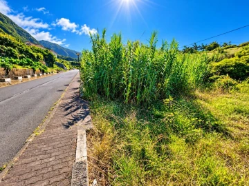 Terreno para Venda em Ponta Delgada