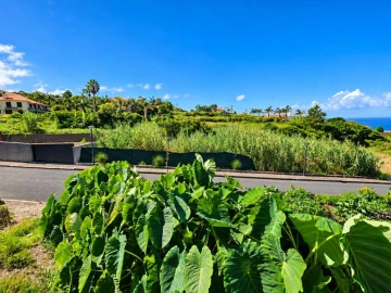 Terreno para Venda em Ponta Delgada
