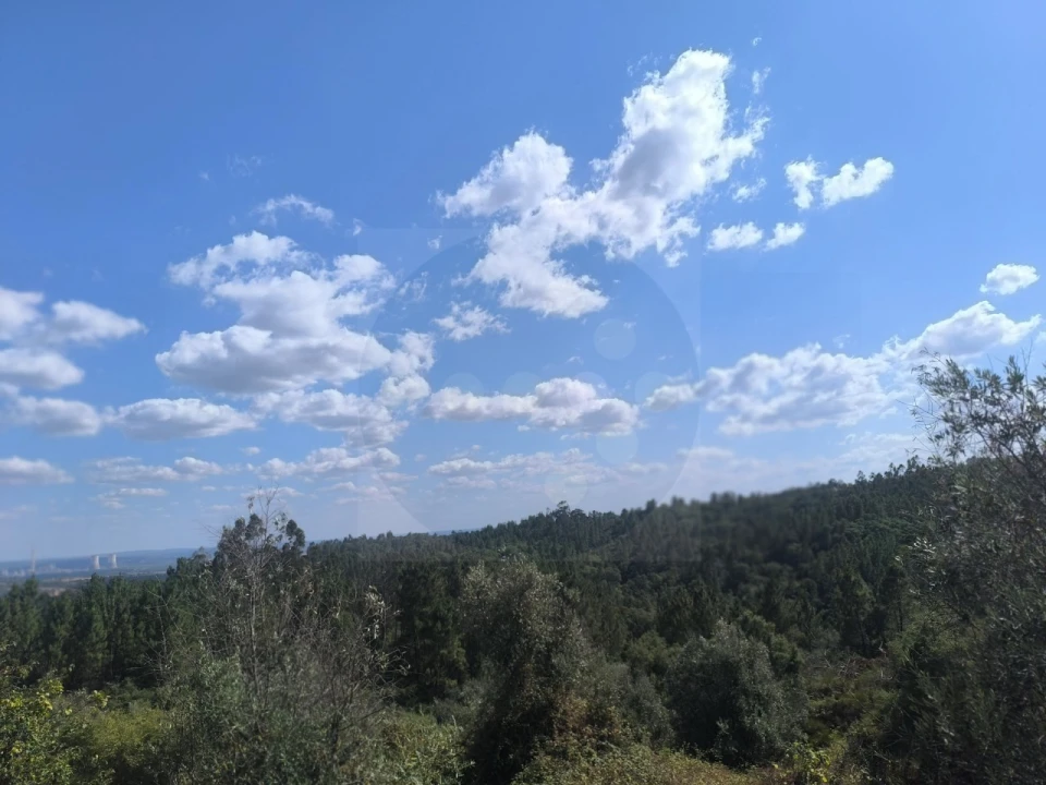 Moradia para Venda em Sardoal Foto 16