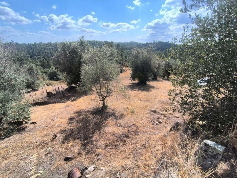 Moradia para Venda em Sardoal Foto 17