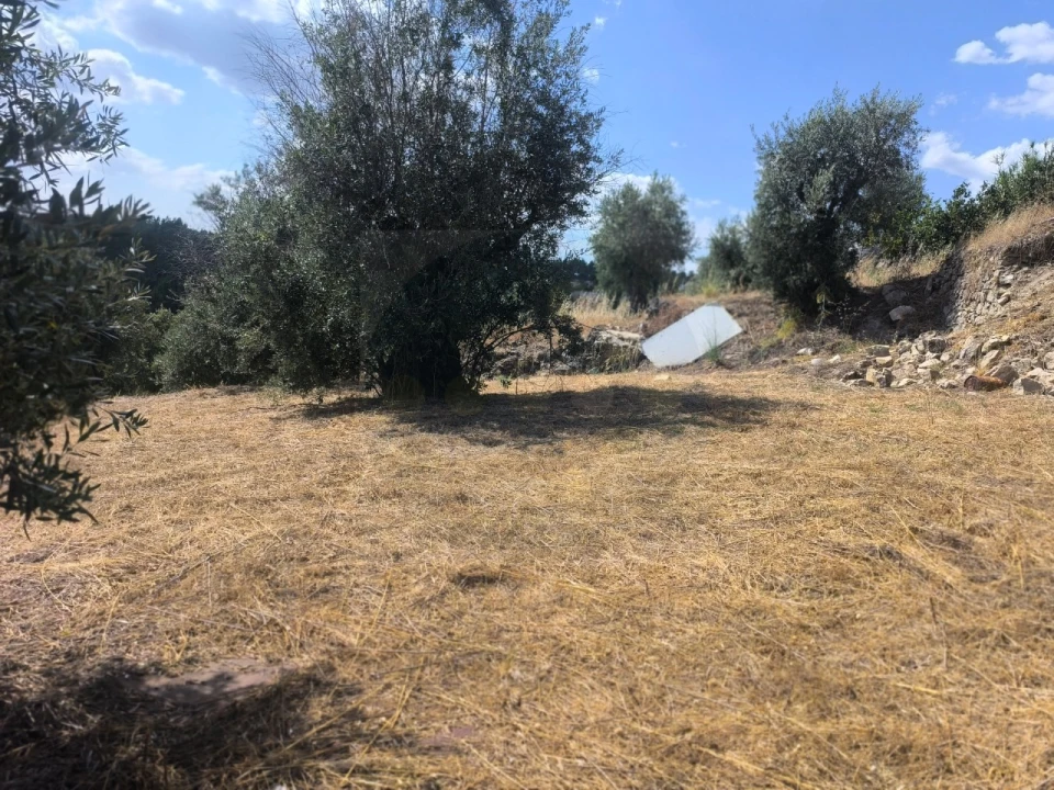 Moradia para Venda em Sardoal Foto 18