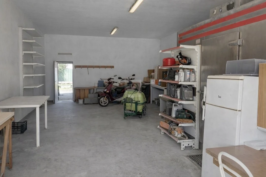 Quinta T6 para Venda em Pegões Foto 19