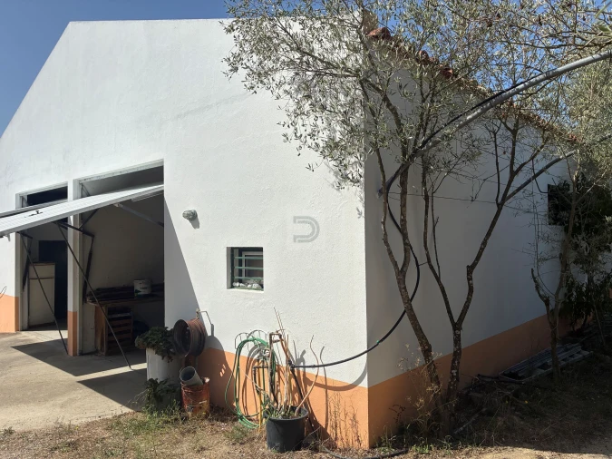 Quinta T6 para Venda em Pegões Foto 17