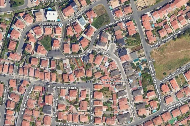 Terreno para Venda em Porto Salvo Foto 8
