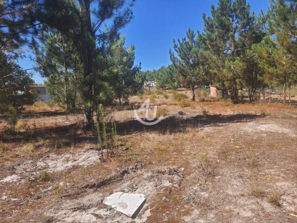 Terreno para Venda em Pataias e Martingança Foto 1