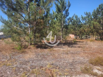 Terreno para Venda em Pataias e Martingança