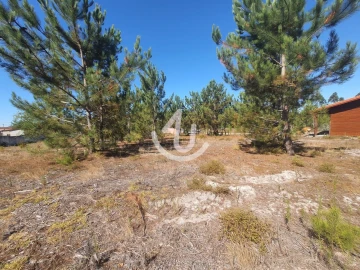 Terreno para Venda em Pataias e Martingança