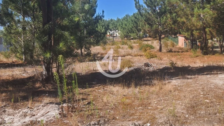 Terreno para Venda em Pataias e Martingança