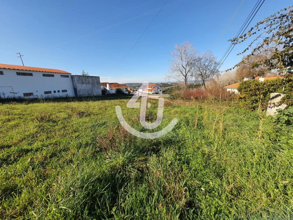Terreno para Venda em Aljubarrota Foto 1