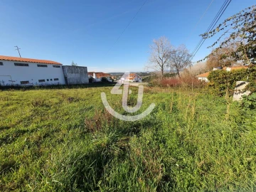 Terreno para Venda em Aljubarrota