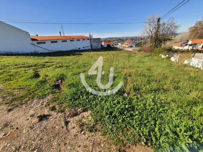 Terreno para Venda em Aljubarrota Foto 3