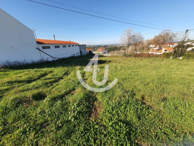 Terreno para Venda em Aljubarrota Foto 4