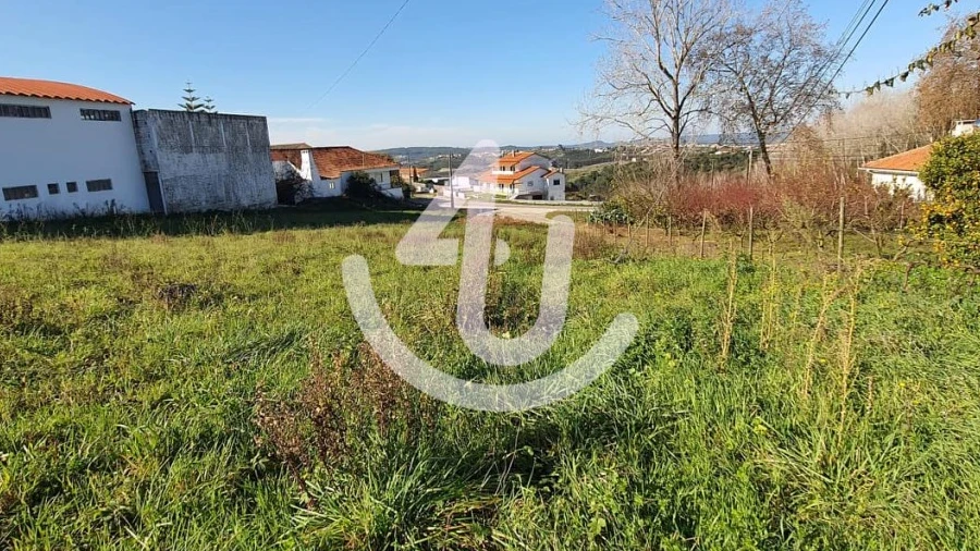 Terreno para Venda em Aljubarrota